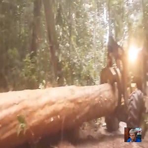 16K views · 77 reactions | How to make the wooden block move easily Join the group: Heavy Equipment  | Magic | Facebook