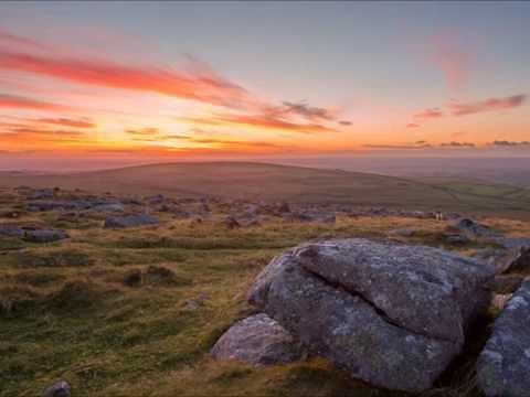 Wild Mountain Thyme
