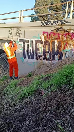 From city to city #TWEeK has his own style...#freewaybombers #FWY💣ER #allcity #fwywriter #graffitiforyou #grafftok