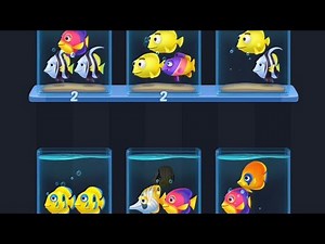 Fish Sort 3D Match Puzzle Level 7 8 9