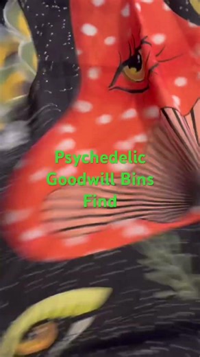 Fun find in the Goodwill Bins 😍😍