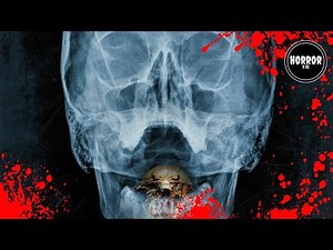 The Bay (2012) - Trailer