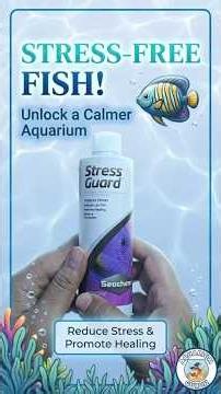 Stress Guard for Aquariums | Ultimate Fish Care Solution