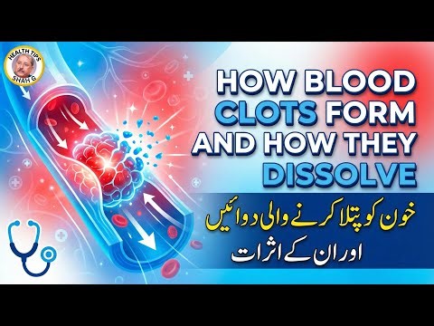 How Blood Clots Form and How They Dissolve