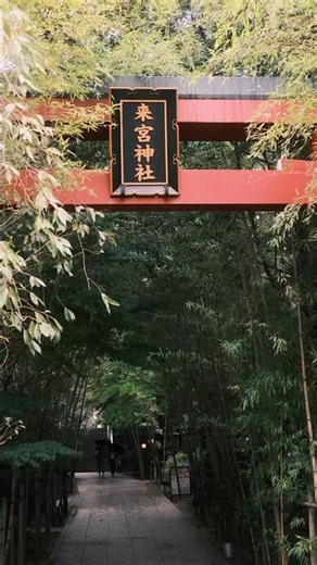 Walking Tokyo【東京散歩】Kinomiya Shrine | 來宮神社 #walking #tokyo #japan #shorts