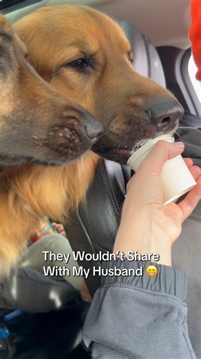 Pup cups are sacred around here and not for sharing..!