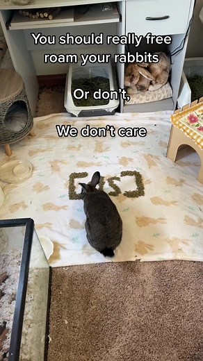 This trend should come back #fyp #foryou #foryoupage