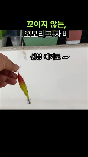 절대 꼬이지 않는 #한치오모리그채비 #한치 #오징어 #갑오징어 #두족류낚시 #낚시꿀팁