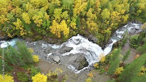 Beautiful waterfall in the mountains on the river, among forest during golden autumn,top view Stock Video