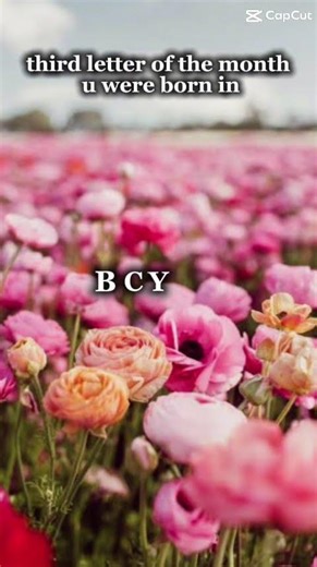 What is dat name 🫩