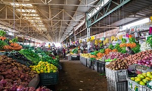 Vente directe : 28 villes modernisent les circuits de distribution – AgriMaroc.ma