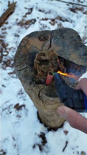 Pyro Cracker von Nico Feuerwerk #pyro #pyrotechnica #fireworks