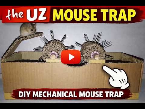 Amazing DIY Mouse Trap 🐭 | Simple Cardboard Trap That Really Works! | the UZ