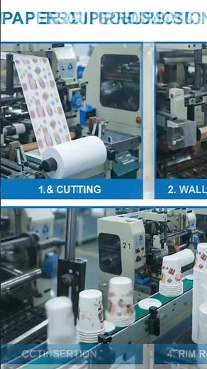 Paper Cup Production Process | Step-by-Step Factory Manufacturing”