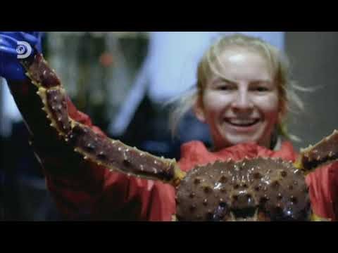 Discovery Channel Hungary Continuity & Ads December 29, 2019 Pt 5