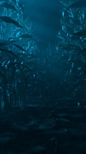 108 reactions · 32 shares | Voted MD’s Best Haunted Hayride; Named #1...