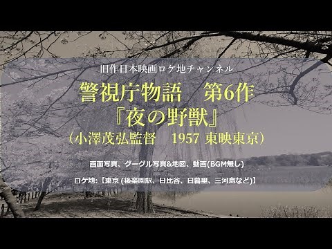 警視庁物語 第6作『夜の野獣』