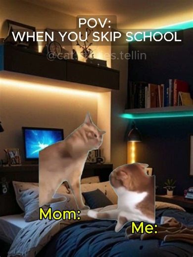Hilarious Cat Meme About Skipping School