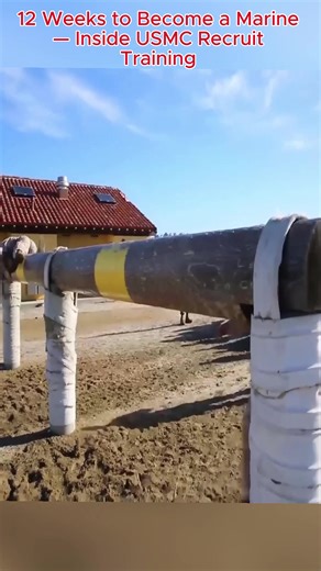 US Army Combat Fitness Test Insights for Recruits