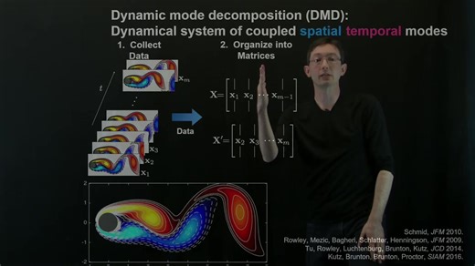 Dynamic Mode Decomposition Overview