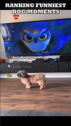 Dogs Being Unintentionally Hilarious 😂 Wait for #1!