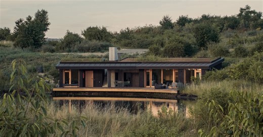 dug into the ground, hello wood's CLT house gently peeks out amid rural flora in hungary