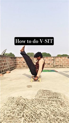V-SIT tutorial
