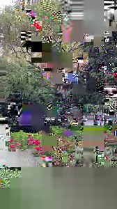 272K views · 10K reactions | Strolling through the charming City Hall Park #NewYork | New York - NewYork.co.uk | Facebook