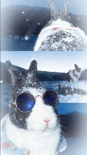 大家都在玩這個！雪地兔兔挑戰❄️｜Snow Bunny Challenge ⛄️ #MochiTheBunny