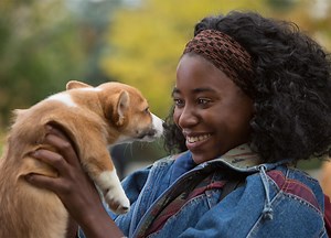 10 Things You Know If You Really Want A Dog