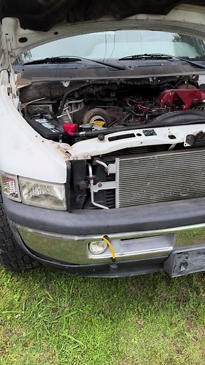 CAT_DOC (@field_trash)’s videos with original sound - CAT_DOC