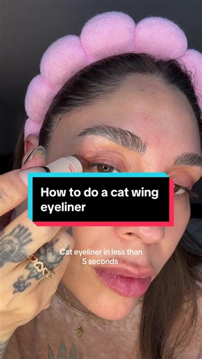 Cat Wing Eyeliner Stamp Tutorial for Quick Looks