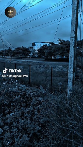 All I Had Was Pain - Royalle's Emotional Journey