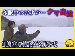 冬眠しているはずのクマが畑に出没 ハンターが駆除 上ノ国町で１月にクマが駆除されるのは記録上初めて