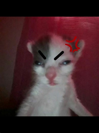 literally happened today 🫩 and we're out of stock of so many things. lmk if yall want work stories #fyp #xybzca #work #rant #manager