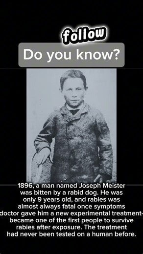 He Was Bitten by a Rabid Dog… Then Doctors Tried Something That Had Never Been Done Before #history