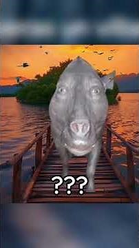 Cringe TikTok Comments...💔