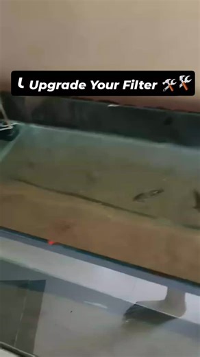 Amazon Aquarium And Pets on Instagram: "Dirty water? 🤔 Upgrade your filter with bio rings + activated carbon and see the difference 💧🐠 Simple steps. Big results. Follow @AmazonAquarium for more tips 💙 #aquarium #aquariumfilter #filterupgrade #aquariumhacks #fishtank"
