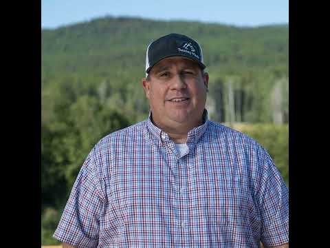 Why Experiential Teen Therapy Builds Trust Faster Than Talk Alone