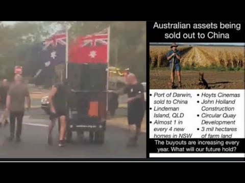 Town Hall meeting Dan Andrews Penny Wong racism NO white Australians