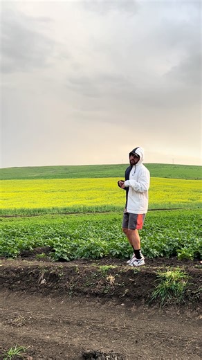 #creatorsearchinsights #workoutchallenge #running #training #sports