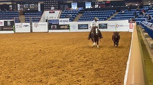 76K views · 1.8K reactions | Tune into NRCHA.com to watch the Open Hackamore Horses go down the Fence! Matt Koch just scored a 224 riding Pepinstep owned by Larry Rice. Koch Cowhorses | Reined Cow Horse Training | Facebook