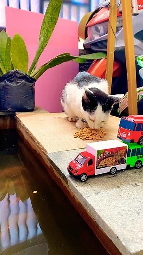 Tayo the Little Bus #toys #tayo #bus #shorts