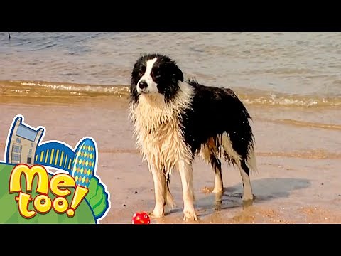 Me Too! - Looking After Yourself (with Sampson the Dog!) | TV Show for Kids
