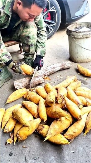 Young Bamboo Shoot Processing | #shorts