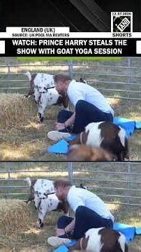 MUST WATCH: Prince Harry steals the spotlight with Goat Yoga session in UK, video goes viral