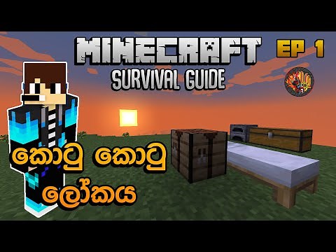 කොටු කොටු ලෝකය | Minecraft Survival Guide Sinhala 1.18 EP 1