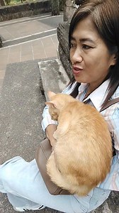 Halla si Mingming😲😲 Margie Ibuyat Ramos #cat | Margie Ibuyat Ramos