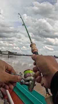 mancing udang galah umpan cacing berkaki #mancing #fishing