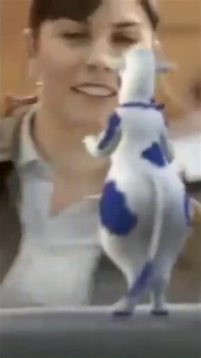 You Forgot The Thicc!-Lactaid Cow (Playfur Cinema Ad)